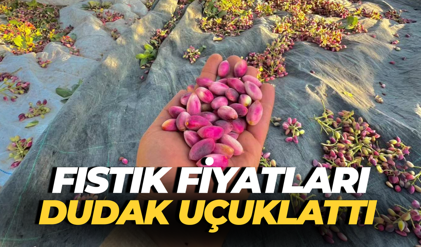 Fıstıkta Şaşırtan Yükseliş: Kilosu Kaç liradan Kapış Kapış Gidiyor?