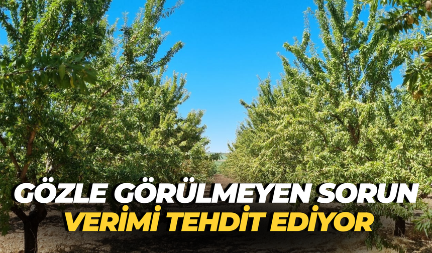 Şanlıurfa'da Şok Karar! Tüm Sulama Birliği Başkanları Görevden Alındı