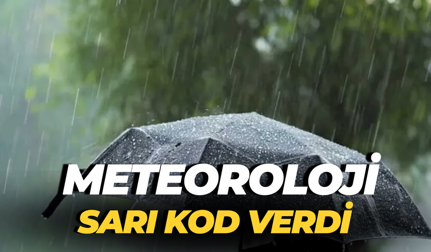 Fıstıkta Rekor Fiyatlar! Şanlıurfa Piyasasında Neler Oluyor?