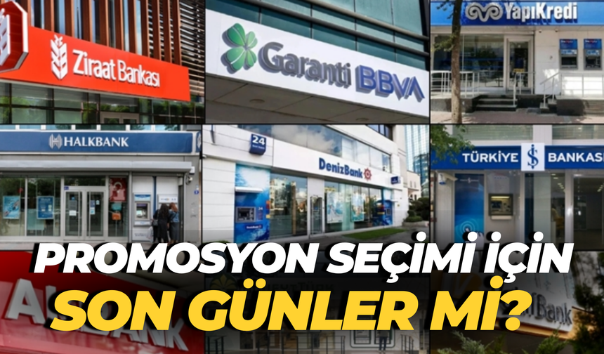 Şanlıurfa’da Pamuk Üreticisine Uyarı: Gün Yüzüne Çıktı