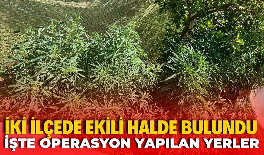 Şanlıurfa'nın İki İlçesinde Operasyon: Evlerden Çıkanlar Şaşırttı