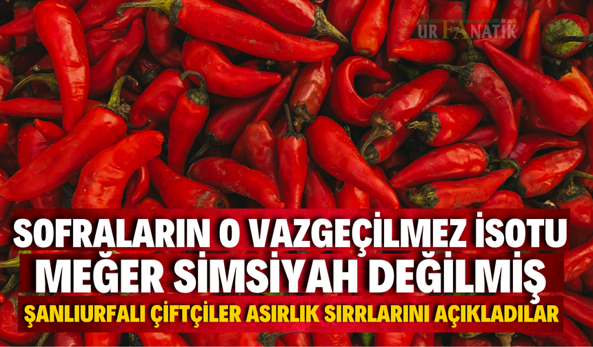 Sofraların Vazgeçilmez İsotu Meğer Simsiyah Doğmuyormuş! Şanlıurfalı Çiftçiler Asırlık Sırrlarını Açıkladılar