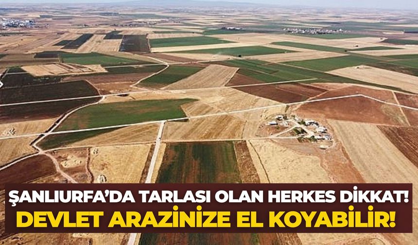 Şanlıurfa’da Tarlası Olan Herkes Dikkat! Devlet 1 Eylül’den İtibaren Ekilmeyen Arazinize El Koyabilir!