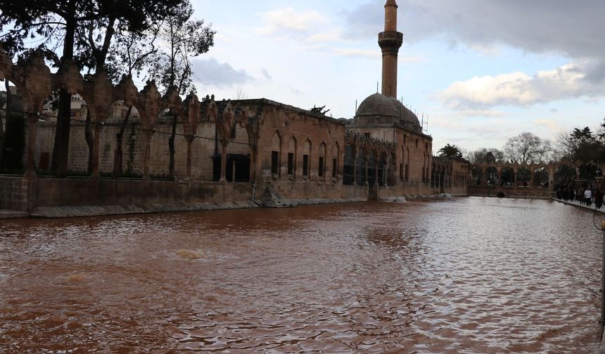 Şanlıurfa’da Günler Süren Yağış Sonrası Balıklıgöl Çamura Büründü