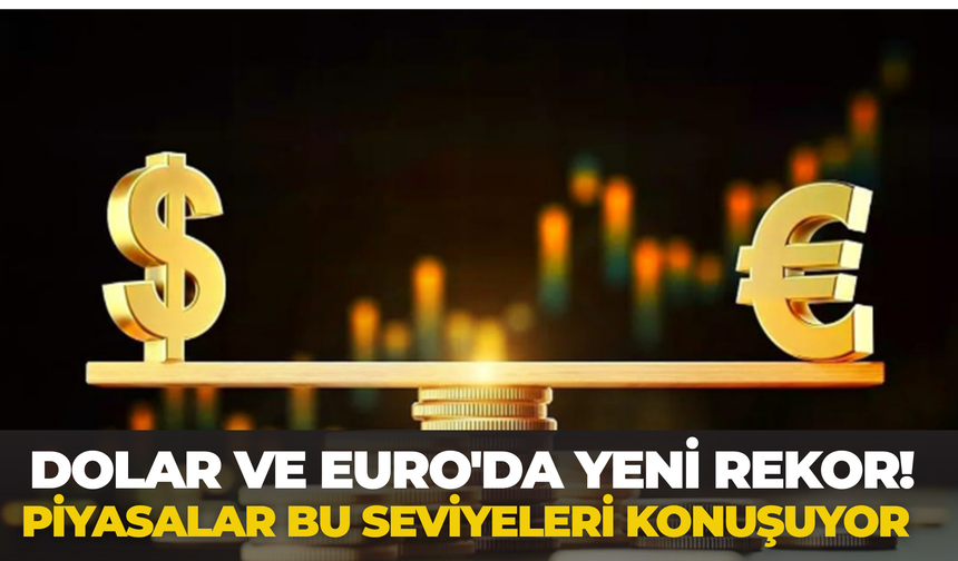 Dolar Kaç TL Oldu, Euro Ne Kadar? ( 17 Haziran Güncel Döviz Kurları)