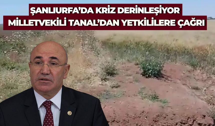 Akçakale’de Bir Mahallenin 1 Yıllık Su Çilesi: Milletvekili Tanal’dan DSİ’ye Çağrı