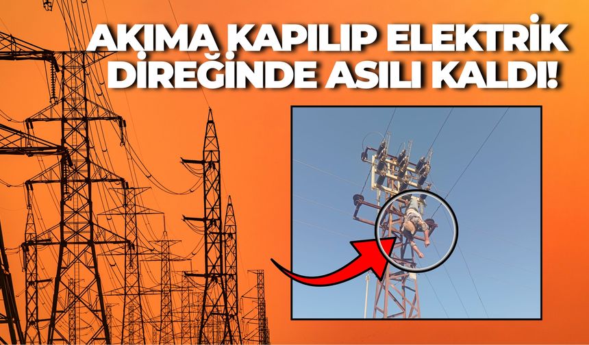 Akçakale'de Korkutan Olay: Akıma Kapılıp Elektrik Direğinde Asılı Kaldı!