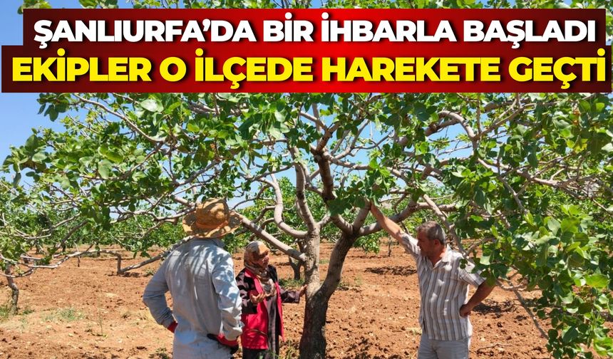 Alo Ziraat Doktorum Hattına Gelen İhbar Ekipler Bozova’da Harekete Geçti