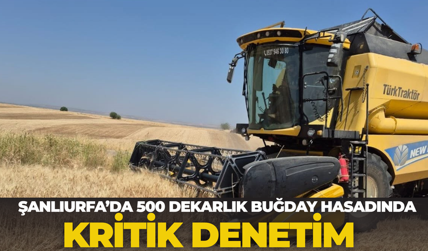 Şanlıurfa’da 500 Dekarlık Buğday Hasadında Kritik Denetim