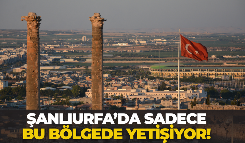 Şanlıurfa’da Endemik “Başkızan” Bitkisi Gözlemlendi