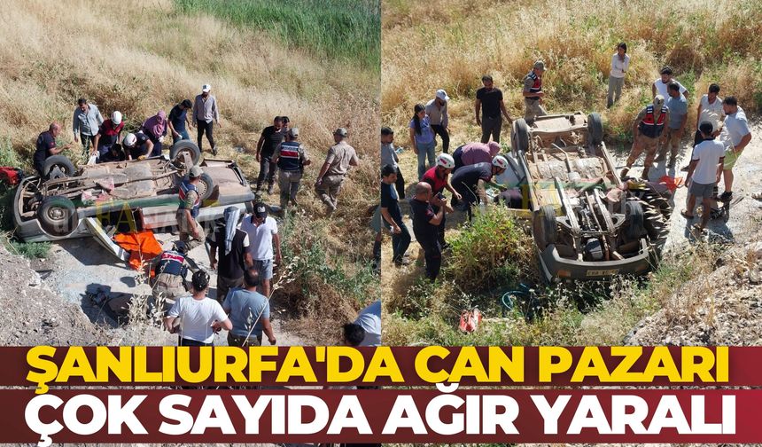 Şanlıurfa Bozova'da Araç Şarampole Uçtu: Çok Sayıda Yaralı Var
