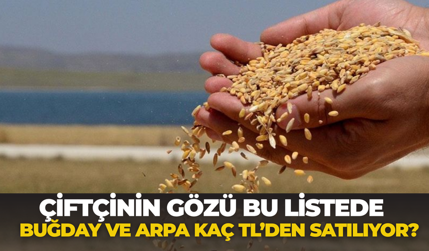 Çiftçinin Gözü Bu Listede: Buğday ve Arpa Kaç TL’den Satılıyor?