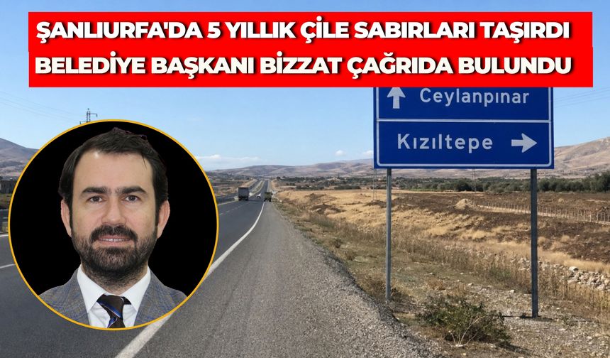 Ceylanpınar - Kızıltepe Yolunda 5 Yıllık Çile: Eşbaşkan Uğur Kahraman'dan Yetkililere Çağrı