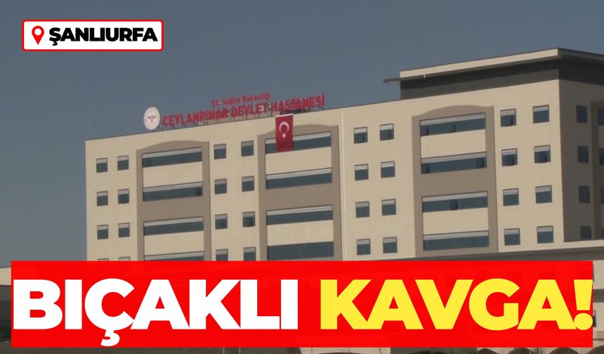 Şanlıurfa Son Dakika: Ceylanpınar'da Bıçaklı Kavga! 1 Yaralı