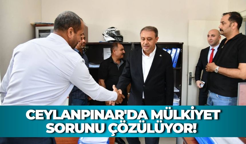 Ceylanpınar'da Mülkiyet Sorunu Çözülüyor! Vali Hasan Şıldak Müjdeyi Verdi