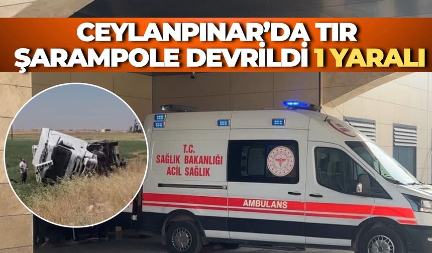 Şanlıurfa Ceylanpınar’da Tır Şarampole Devrildi: 1 Yaralı