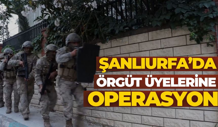 Şanlıurfa'da Örgüt Üyelerine Operasyon