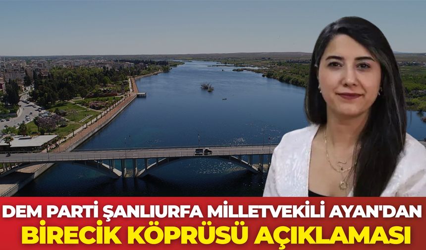 DEM Parti Şanlıurfa Milletvekili Ayan'dan Birecik Köprüsü Açıklaması