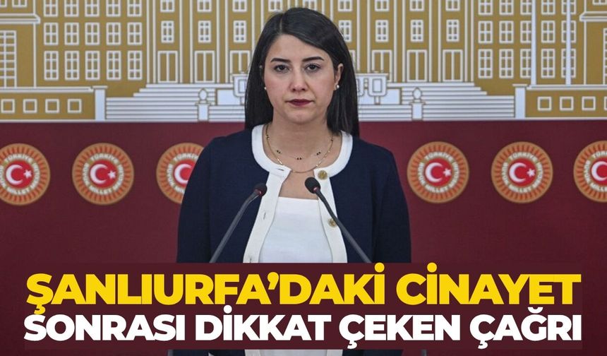 Dilan Kunt Ayan’dan Kadın Cinayetleri İçin Meclis Araştırması Talebi