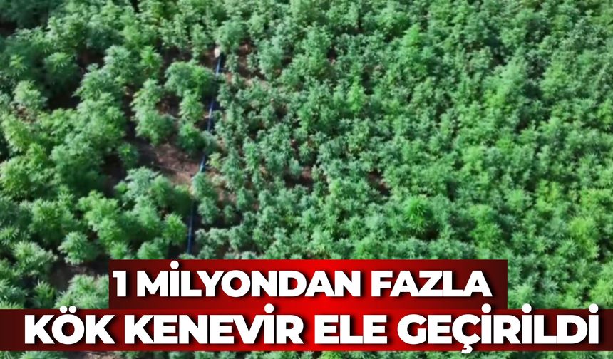 Diyarbakır’da 1 Milyondan Fazla Kök Kenevir Ele Geçirildi