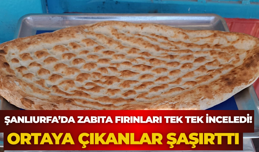 Şanlıurfa’da Gıda Denetimi: 1 Fırının Ruhsatı İptal Edildi