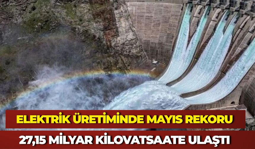 Elektrik Üretiminde Mayıs Rekoru: Yenilenebilir Enerjinin Payı Yüzde 72,3’e Ulaştı