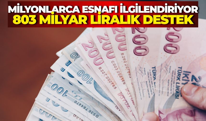 Esnafa Dev Destek: 23 Yılda Kullandırılan Kredi 803 Milyar Liraya Ulaştı