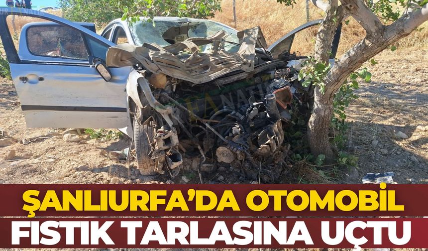 Şanlıurfa’da Otomobil Fıstık Tarlasına Uçtu: Kadın Sürücü Yaralandı