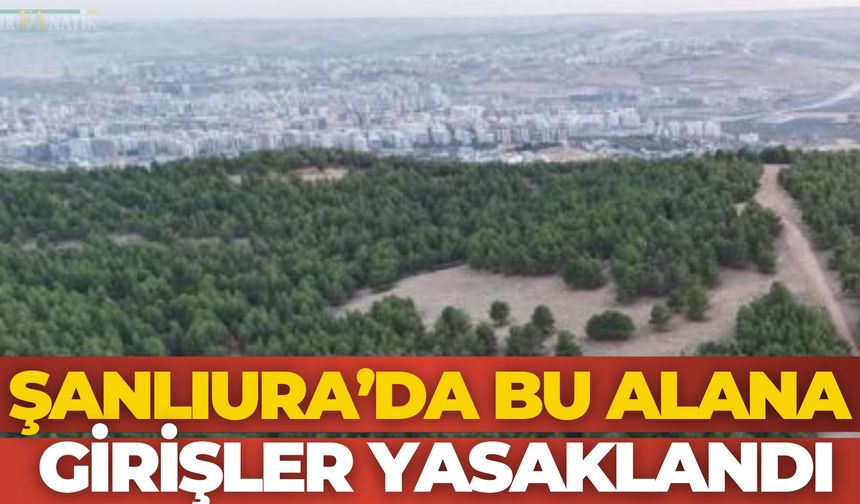 Şanlıurfa Gölpınar Tabiat Parkına Girişler Yasaklandı