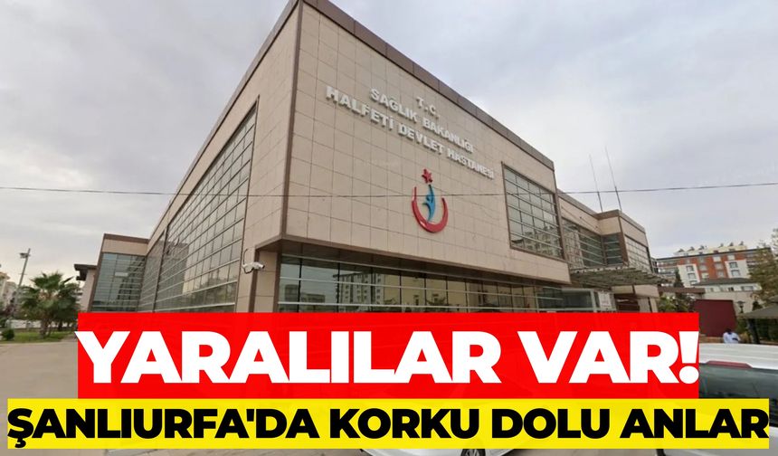 Urfa Son Dakika: Halfeti'de İki Otomobil Çarpıştı! 2 Yaralı