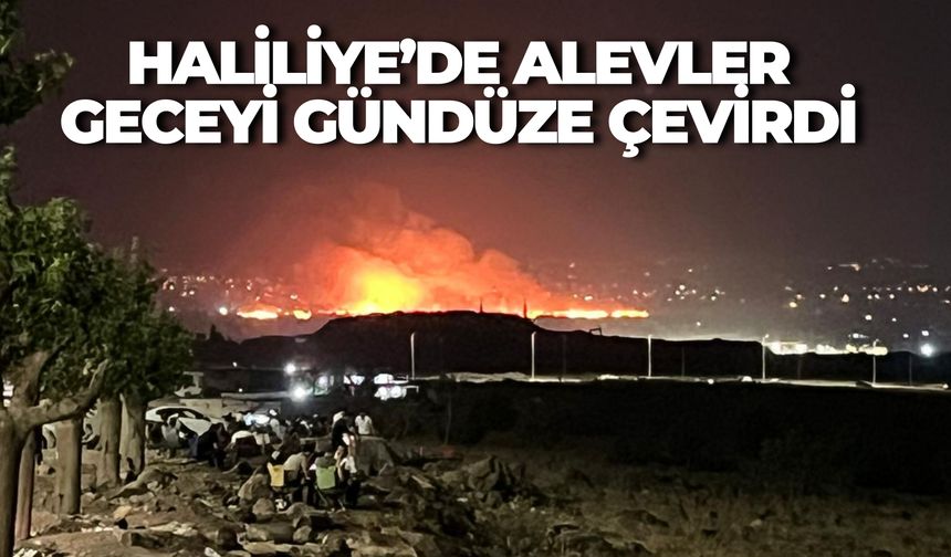 Şanlıurfa’da Korkutan Yangın: Alevler Kilometrelerce Uzaklıktan Görüldü
