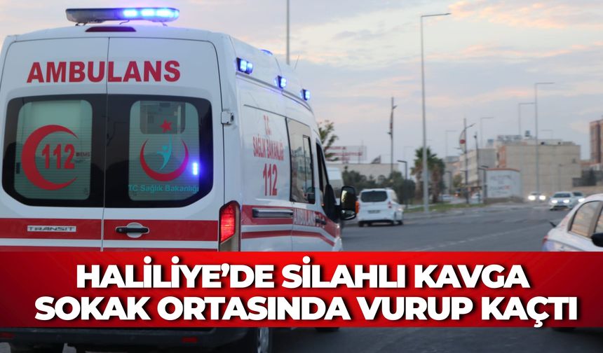 Şanlıurfa Haliliye’de Silahlı Kavga: Sokak Ortasında Vurup Kaçtı