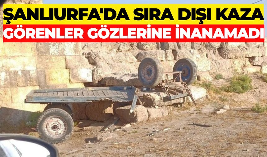 Harran'da Sıra Dışı Kaza: At Arabası Tarihi Sur Kapısına Çarptı