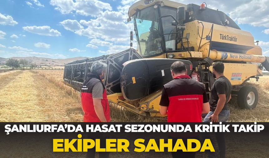 Şanlıurfa’da Hasat Sezonunda Kritik Takip: Ekipler Sahada