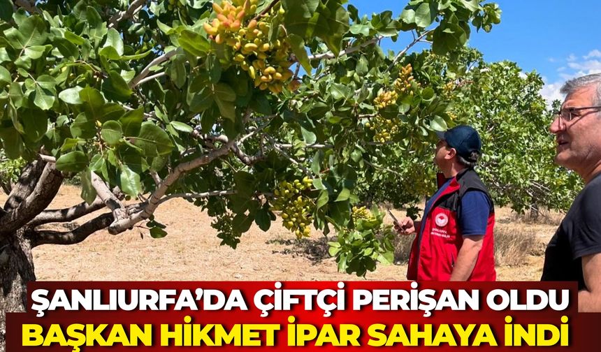 Hilvan’da Dolu ve Fırtına Sonrası Kritik İnceleme: Hikmet İpar Sahada