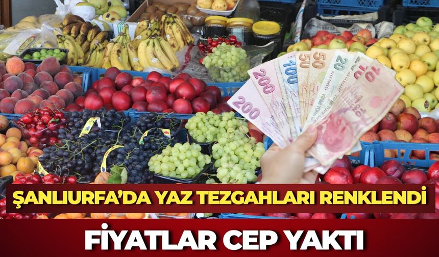 Şanlıurfa’da Yaz Tezgahları Renklendi: Fiyatlar Cep Yaktı