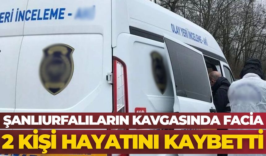 Şanlıurfalıların Kavgasında Facia: 2 Kişi Hayatını Kaybetti