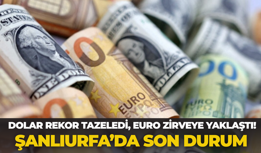 Dolar Kaç TL Oldu, Euro Ne Kadar? ( 9 Haziran Güncel Döviz Kurları)