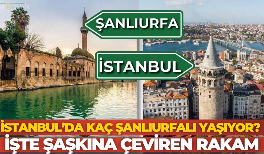 İstanbul’da Kaç Şanlıurfalı Yaşıyor? İşte Şaşkına Çeviren Rakam