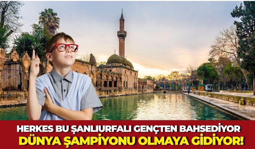 Siverekli Öğrenci ODTÜ Matematik Olimpiyatları'nda Tam Puanla Dünya Şampiyonası'na Seçildi