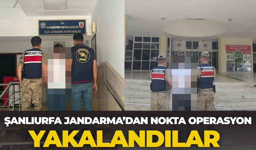 Şanlıurfa Jandarma’dan Nokta Operasyon: Yakalandılar