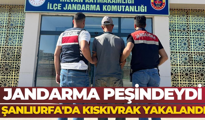 Jandarma Peşindeydi: Şanlıurfa'da Kıskıvrak Yakalandı