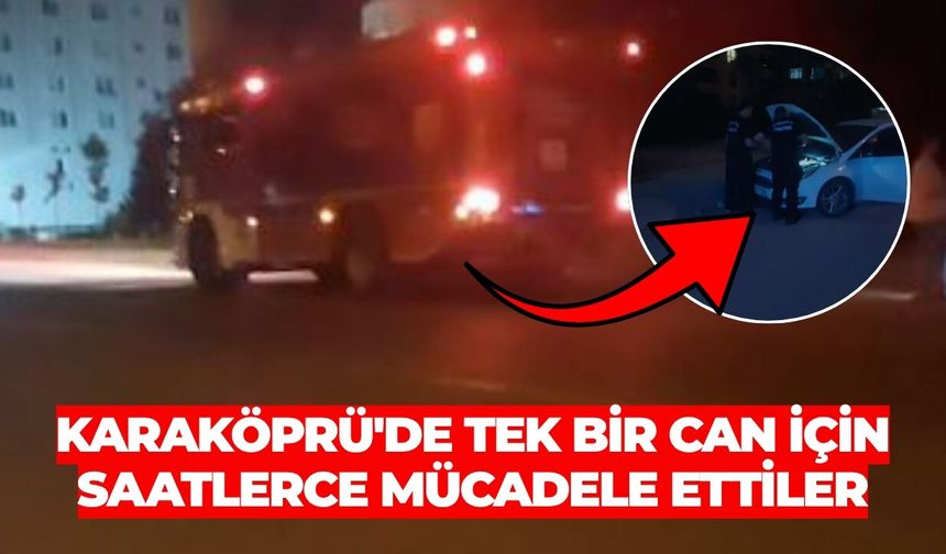 Karaköprü'de Tek Bir Can İçin Saatlerce Mücadele Ettiler
