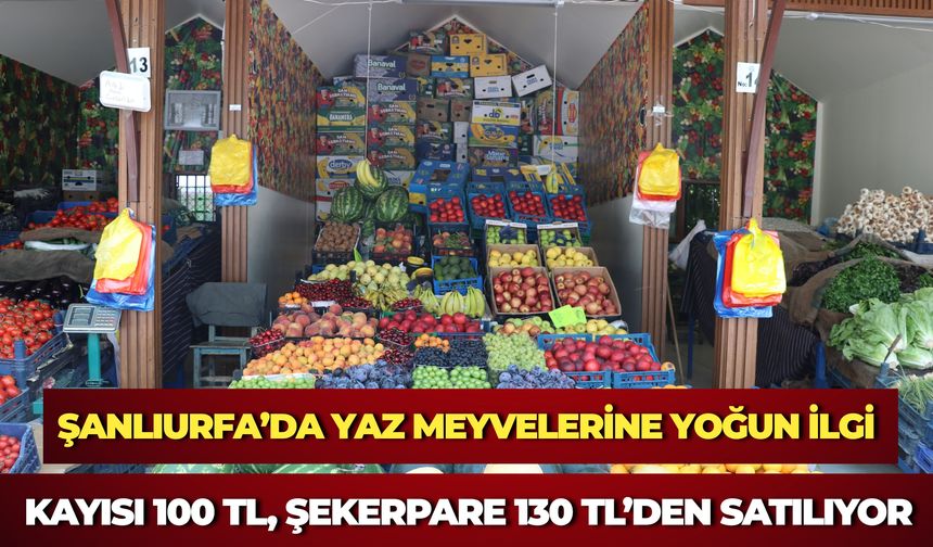 Şanlıurfa’da Yaz Meyvelerine Yoğun İlgi: Kayısı 100 TL, Şekerpare 130 TL’den Satılıyor