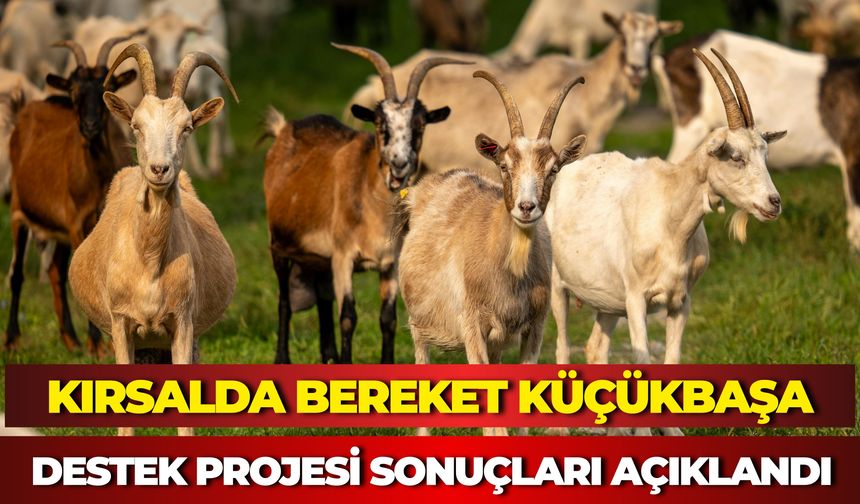 Kırsalda Bereket Küçükbaşa Destek Projesi Sonuçları Açıklandı