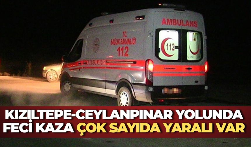 Ceylanpınar-Kızıltepe Yolunda İki Araç Çarpıştı: Çok Sayıda Yaralı Var