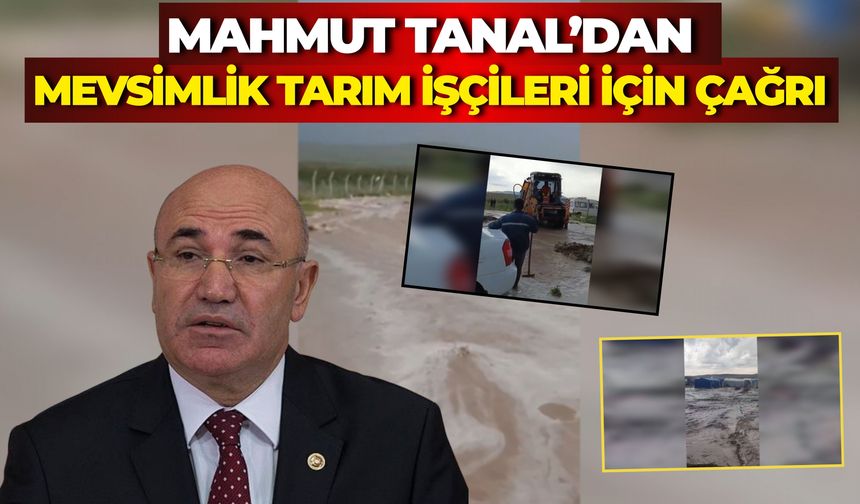 Mahmut Tanal’dan Mevsimlik Tarım İşçileri İçin Çağrı