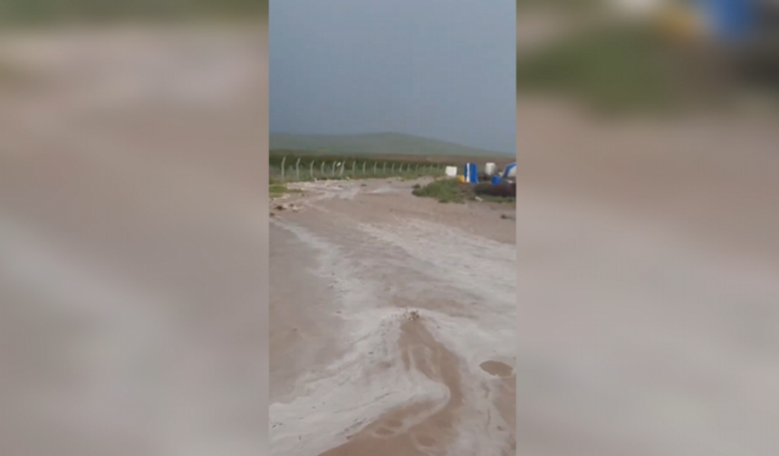 Mahmut Tanal’dan Mevsimlik Tarım İşçileri İçin Çağrı