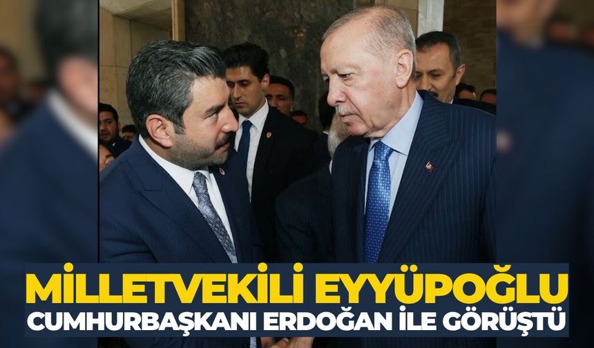 Milletvekili Eyyüpoğlu Cumhurbaşkanı Erdoğan İle Görüştü