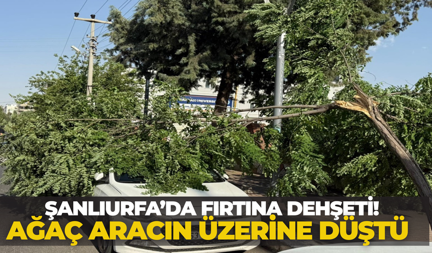 Şanlıurfa’da Fırtına Dehşeti! Ağaç Aracın Üzerine Düştü